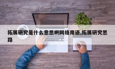 拓展研究是什么意思啊网络用语,拓展研究思路