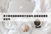 男子菜地偷菜被抓现行后诡辩,偷菜被逮遭菜农怒骂