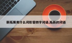 新拓展用什么词形容四字词语,拓新的词语