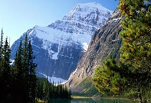 拓展研究视野与,拓展视野怎么说